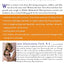 Midlife Motherhood: A Woman-to-Woman Guide to Pregnancy and Parenting