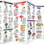Mushrooms: A Folding Pocket Guide to Familiar North American