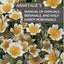 Armitages Manual of Annuals, Biennials, and Half-Hardy Perennials
