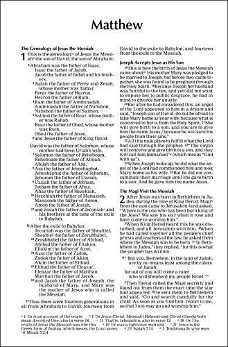 Outreach New Testament: New International Version, Green Forest Path