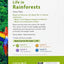 Oxford Read and Discover: Level 3: Life in Rainforests