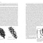 A Natural History of Conifers