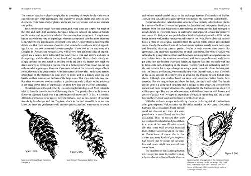 A Natural History of Conifers