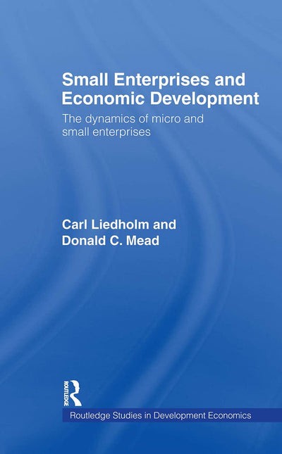 Small Enterprises and Economic Development (Routledge Studies in Development Economics)