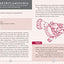 The Hypochondriac's Pocket Guide to Horrible Diseases You Pr
