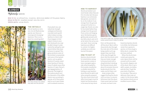 Backyard Foraging: 65 Familiar Plants You Didnt Know You Could Eat