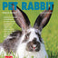 Training Your Pet Rabbit (Training Your Pet Series)