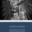 Catena Aurea: Commentary On the Four Gospels Collected Out of the Works of the Fathers: Volume 4 (4 Volumes)