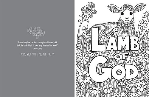 Reflecting on the Names of Jesus: Jesus-Centered Coloring Book for Adults (Jesus-Centered Devotions)