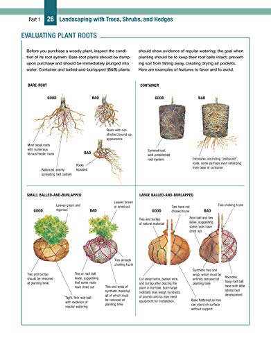 Trees, Shrubs & Hedges for Your Home: Secrets for Selection and Care (Creative Homeowner) 1,000+ Plant Descriptions and 550 Photos - Design Your Landscape and Enhance Your Outdoor Space (Landscaping)