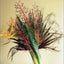 Sensational Bouquets by Christian Tortu: Arrangements by a Master Floral Designer