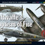 Luftwaffes Baptism of Fire. Part I (TopColors)