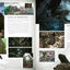 Middle-earth from Script to Screen: Building the World of The Lord of the Rings and The Hobbit - An Epic Behind-the-Scenes Exploration of Tolkien's Fantasy Brought to Film