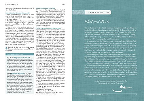 Beyond Suffering Bible NLT (Softcover): Where Struggles Seem Endless, God's Hope Is Infinite