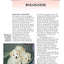 Bolognese (Comprehensive Owner's Guide)