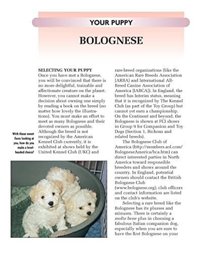 Bolognese (Comprehensive Owner's Guide)