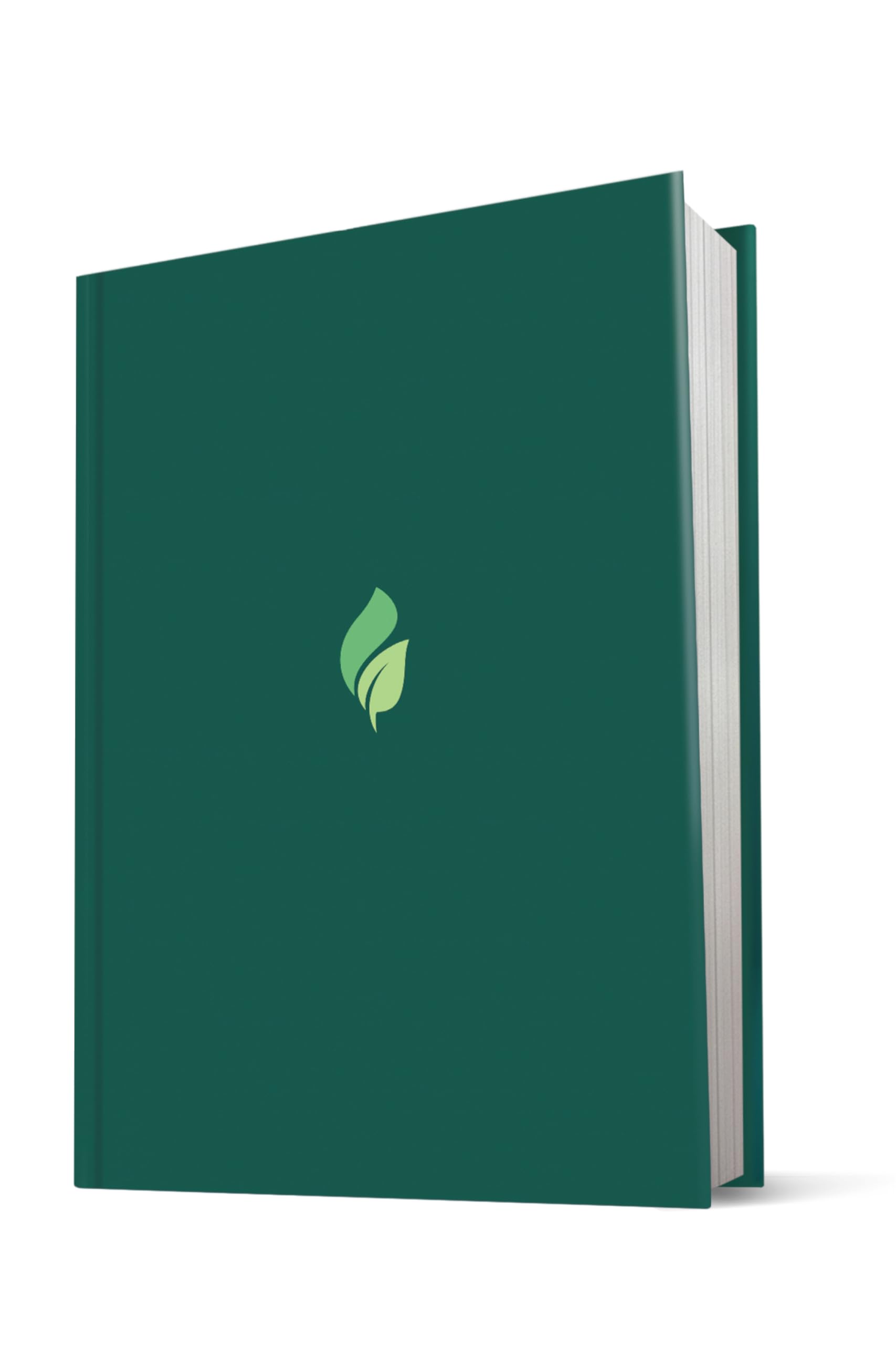 NLT Life Recovery Bible, Second Edition, Large Print (Hardcover): Addiction Bible Tied to 12 Steps of Recovery for Help with Drugs, Alcohol, Personal Struggles - With Meeting Guide