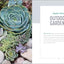 Essential Succulents: The Beginner's Guide