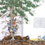 PAUL GOBLE GALLERY: Three Native American Stories