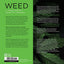 Weed: A Connoisseur