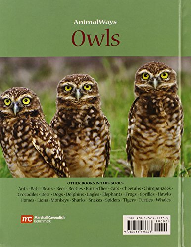 Owls (AnimalWays)