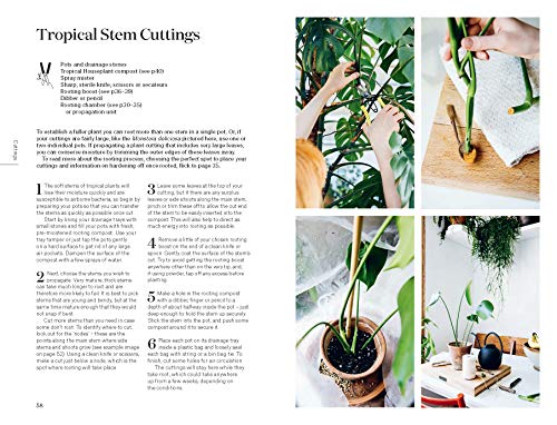 Root, Nurture, Grow: The Essential Guide to Propagating and Sharing Houseplants