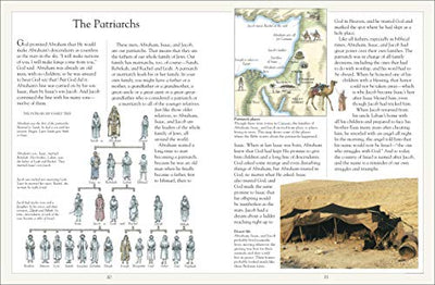 The Children's Illustrated Jewish Bible (DK Bibles and Bible Guides)