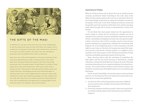 Essential Oils of the Bible: Connecting God's Word to Natura