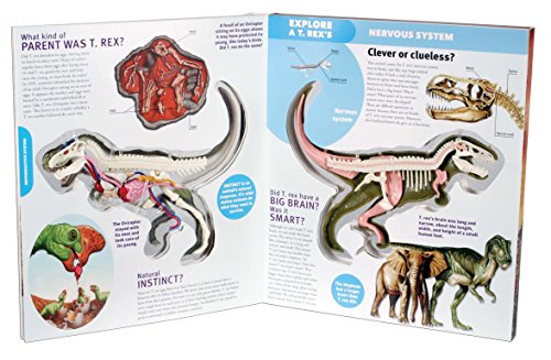 Explore a T. Rex