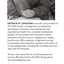 The Four Obsessions of an Extraordinary Executive: A Leadership Fable