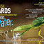 National Geographic Kids Ultimate Weird But True: 1,000 Wild & Wacky Facts & Photos!