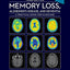 Memory Loss, Alzheimer's Disease and Dementia: A Practical Guide for Clinicians