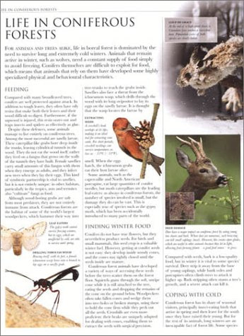 Animal: The Definitive Visual Guide to the World's Wildlife