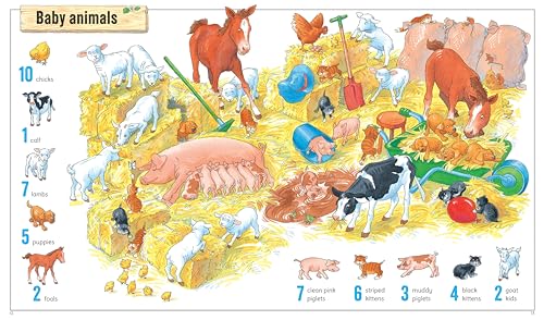 1001 Things to Spot on the Farm
