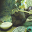 Throwing the Bones: An Instructional Book With a Final Focus on the Ethics of Divination