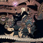 Jim Henson's Labyrinth: Coronation Vol. 1