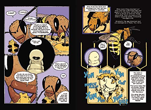 The Way of the Hive: A Honey Bee's Story
