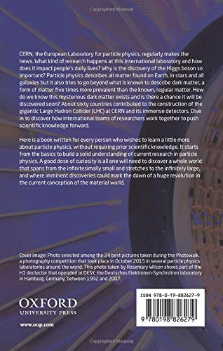 Who Cares about Particle Physics?: Making Sense of the Higgs Boson, the Large Hadron Collider and CERN