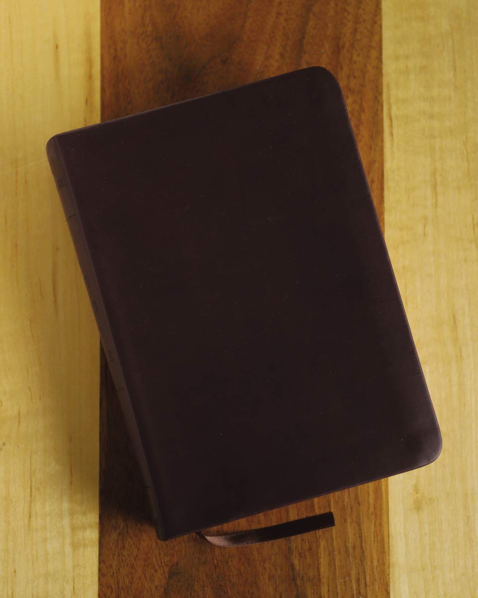 Life with God Bible NRSV Compact Burgundy Ital Leath