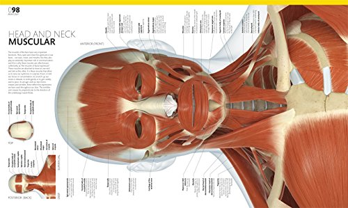 The Complete Human Body (Book & DVD-ROM)