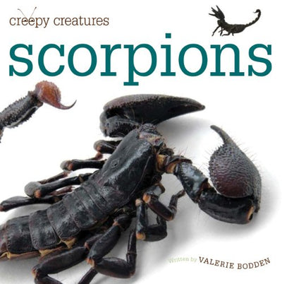 Creepy Creatures: Scorpions