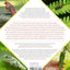 Grass Isn't Greener: The Everyday Conservationist's Guide to Bringing Nature to Your Yard