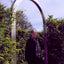 The Story of Gardening: A cultural history of famous gardens from around the world