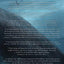 The Deep