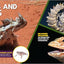 The Fascinating Animal Book for Kids: 500 Wild Facts! (Fascinating Facts)