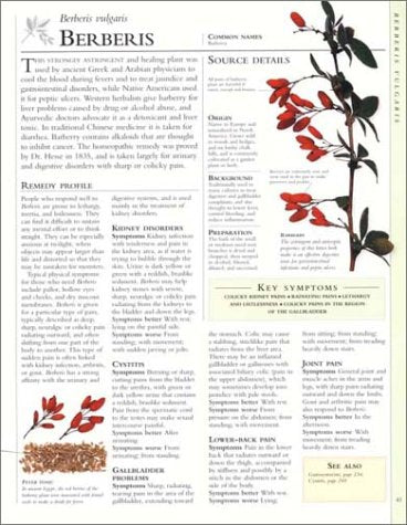 Encyclopedia of Homeopathy: The Definitive Home Reference Guide to Homeopathic Self-Help Remedies & Treatments for Common Ailments