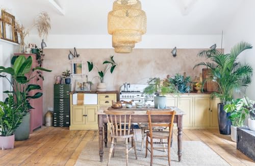 The Plant Parent Guide: Create a beautiful, plant-filled home