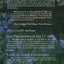 A Guide to the I Ching by Carol K. Anthony