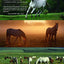 Bob Langrish's World of Horses: A Master Photographer's Journey