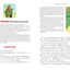 A Treasury of Japanese Folktales: Bilingual English and Japa